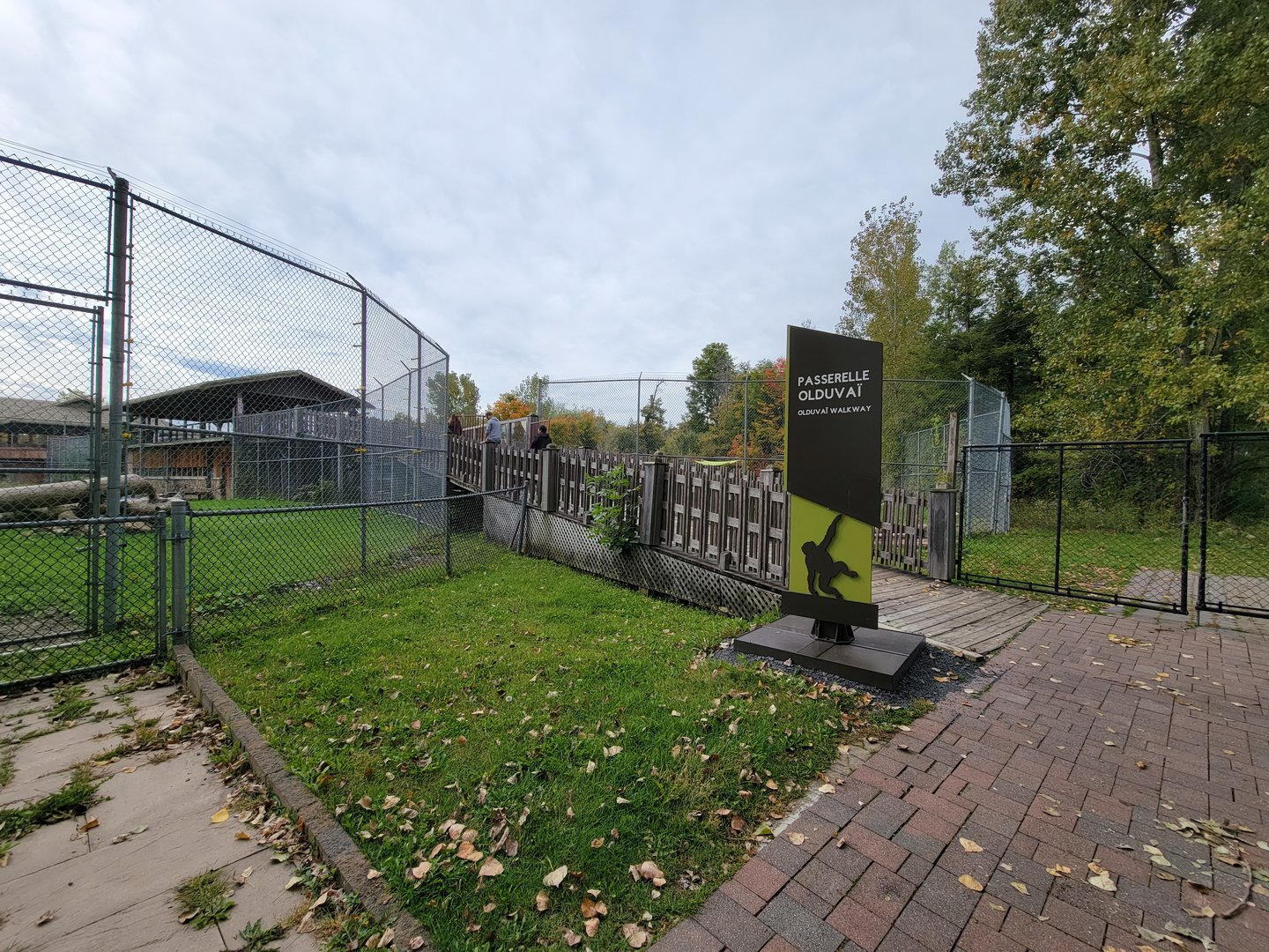 Parc Safari - Start of Olduvai Walkway, from next to lion yard #2/Marabous