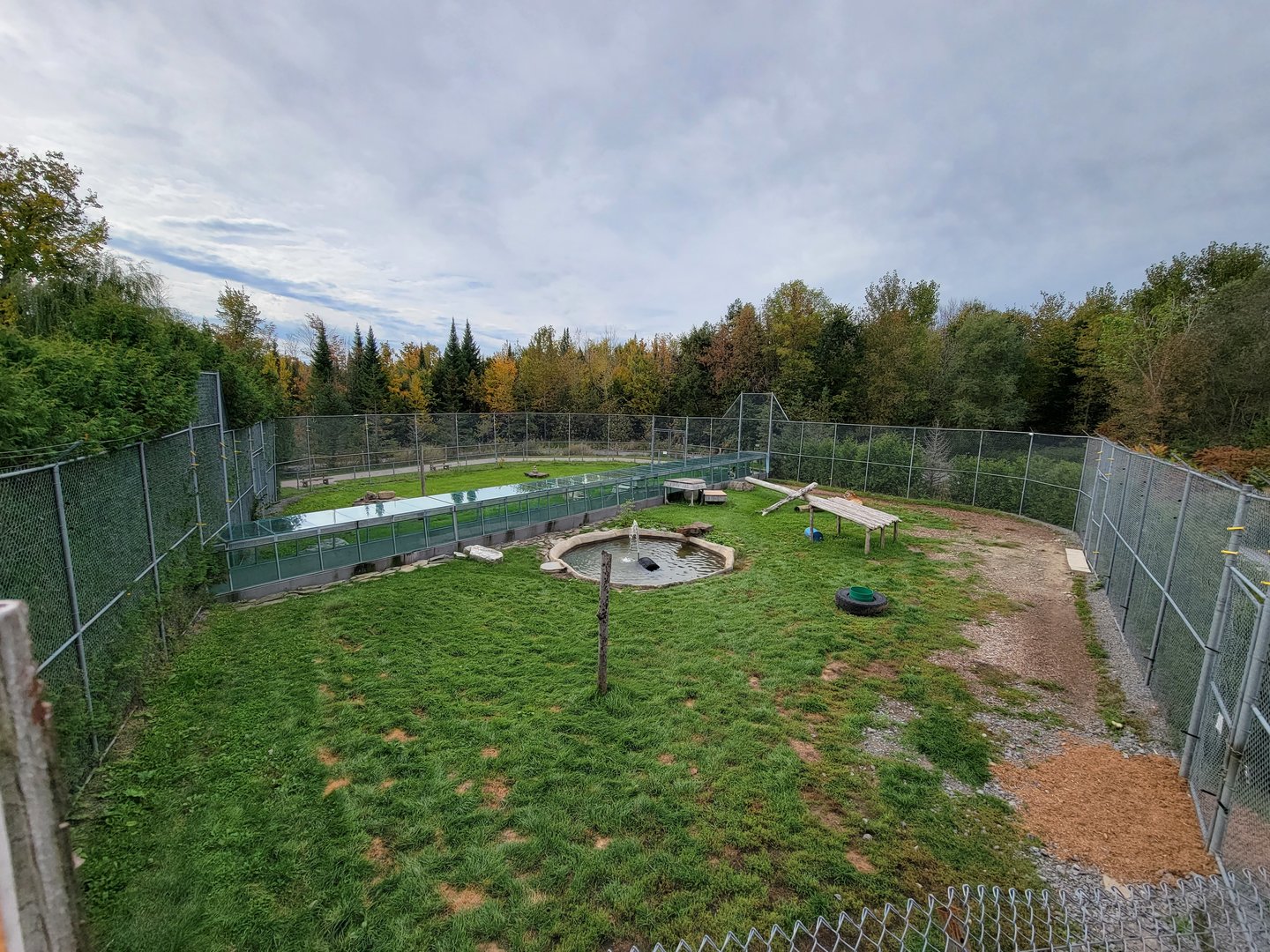 Parc Safari - Tiger yard