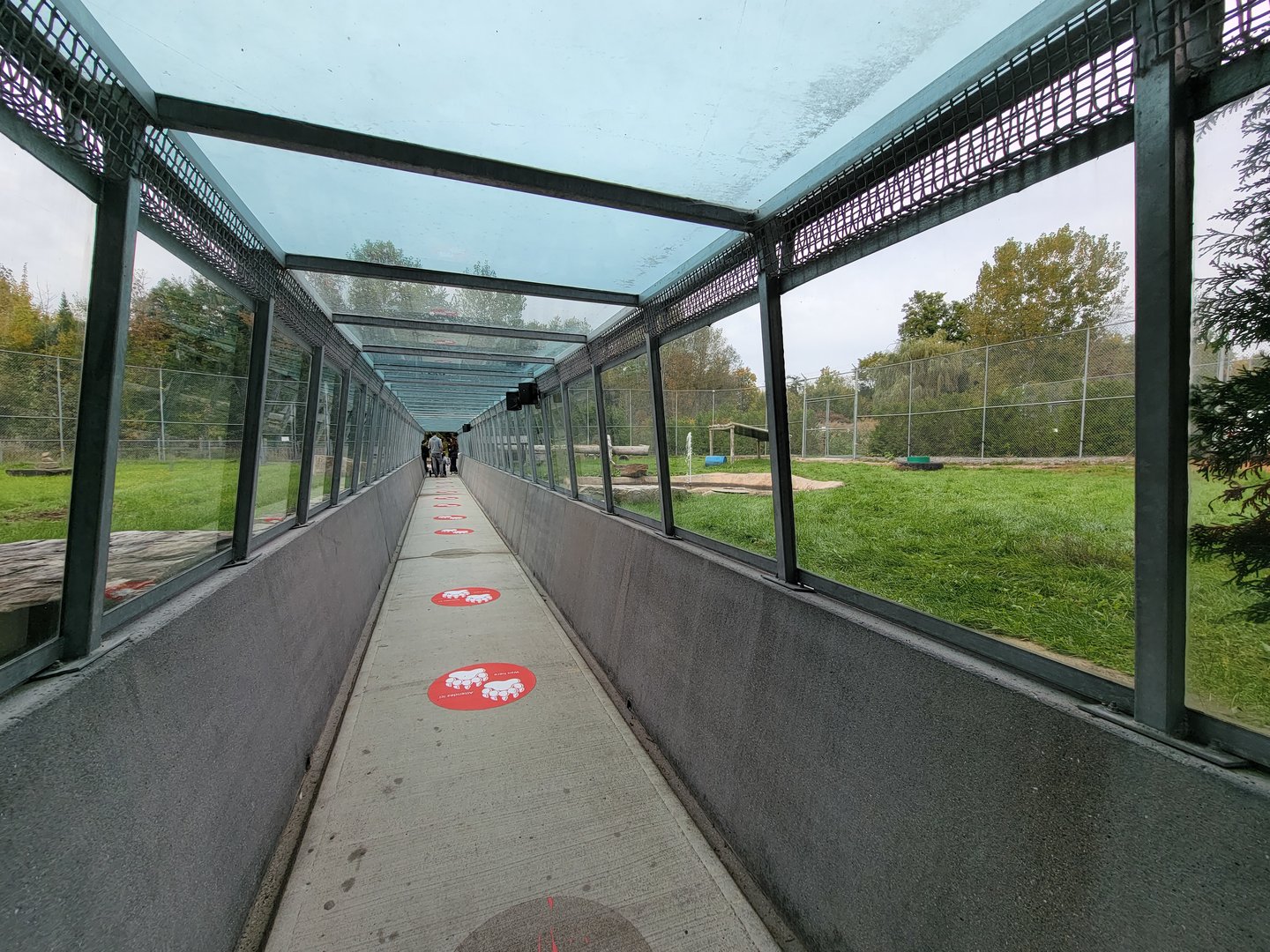Parc Safari - Tunnel #1 extension, tiger yard