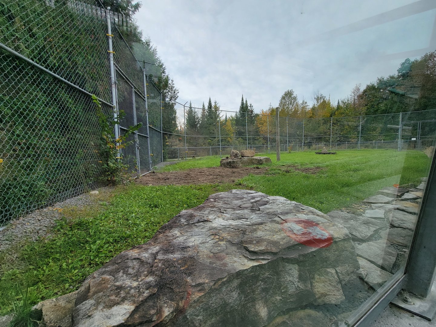 Parc Safari - Tunnel #1 extension, tiger yard