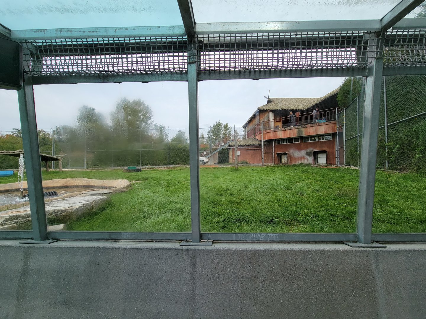 Parc Safari - Tunnel #1 extension, tiger yard