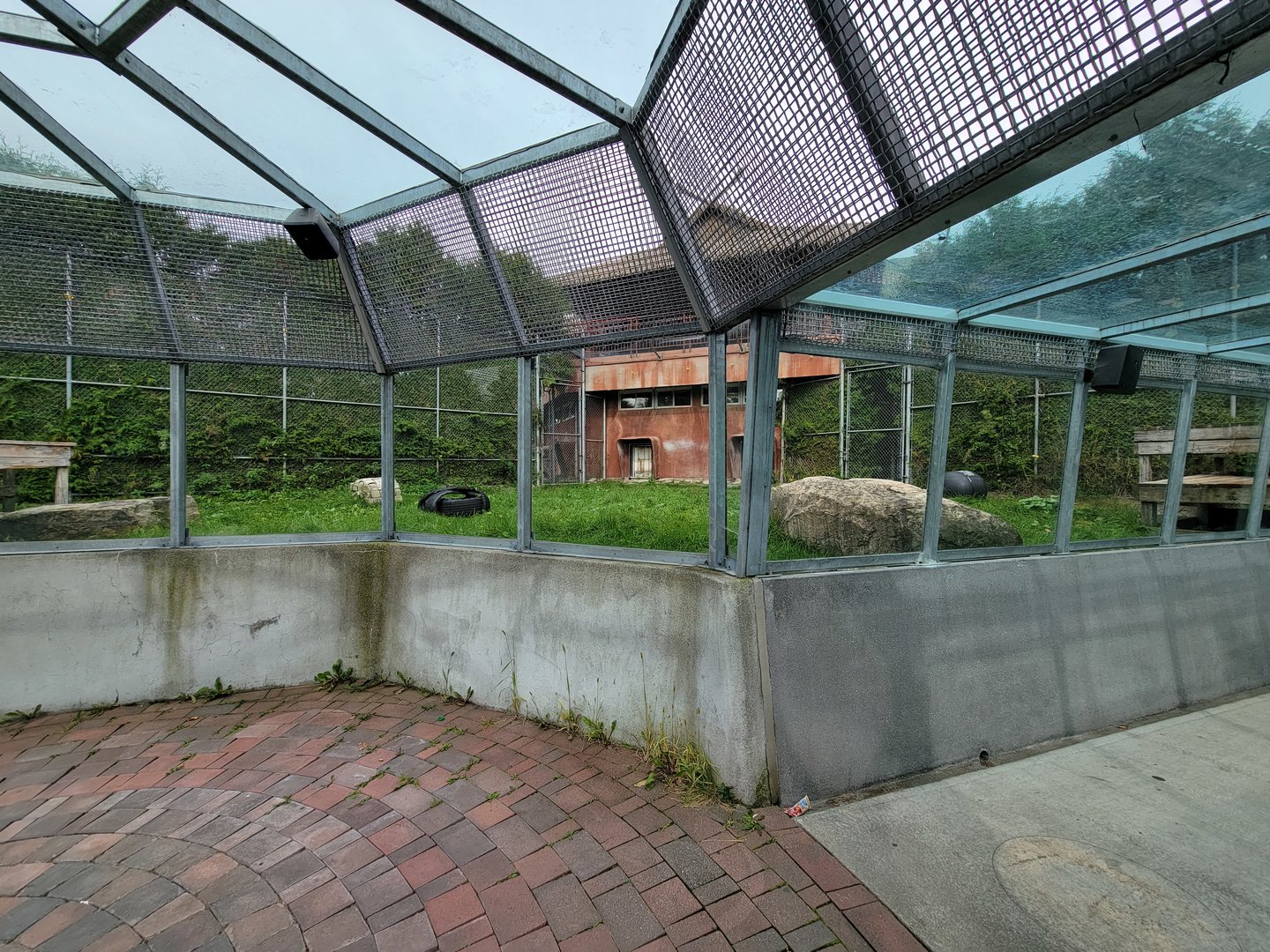 Parc Safari - Tunnel #1, lion yard #4, 3 white males