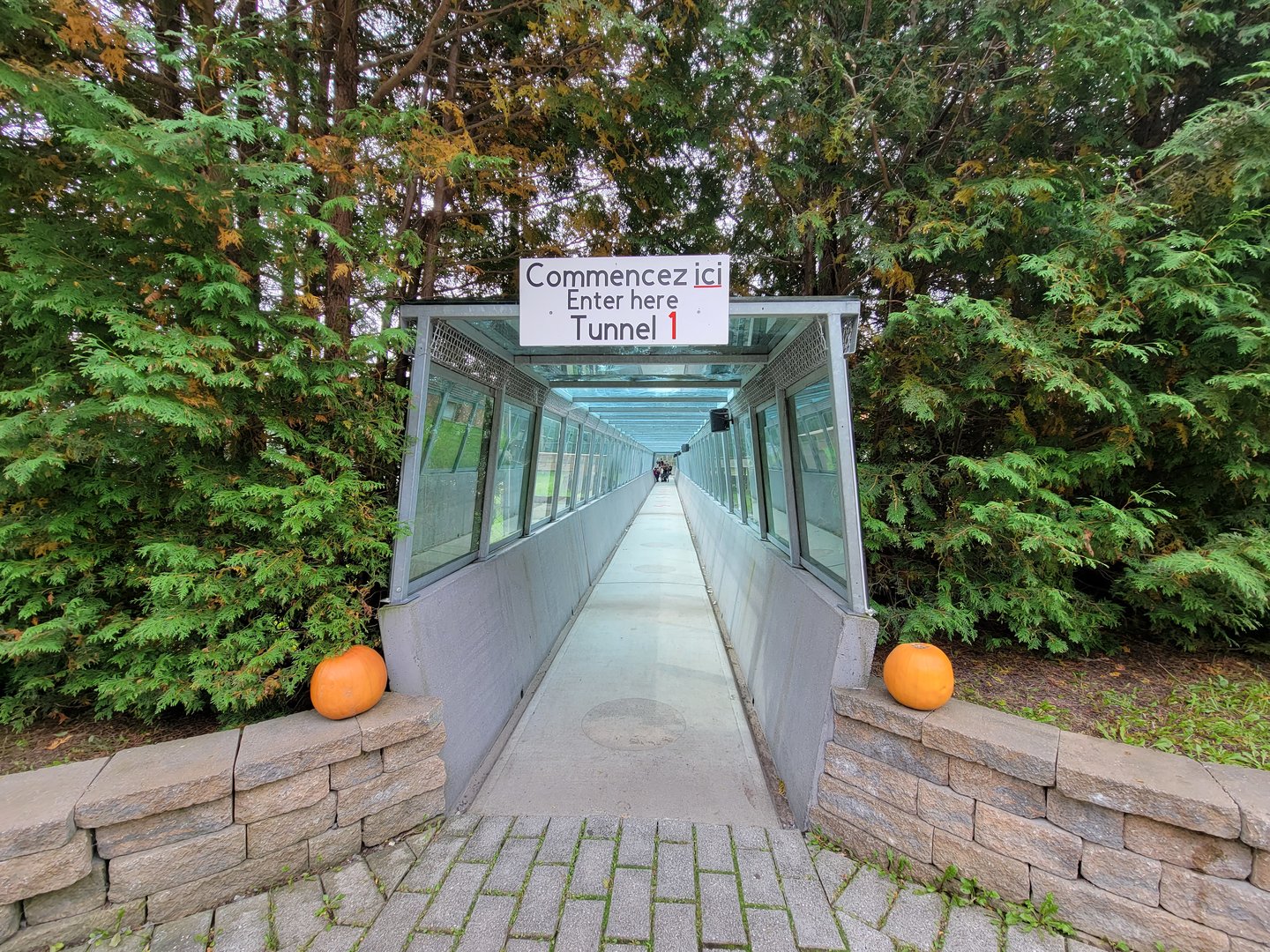 Parc Safari - Tunnel #1