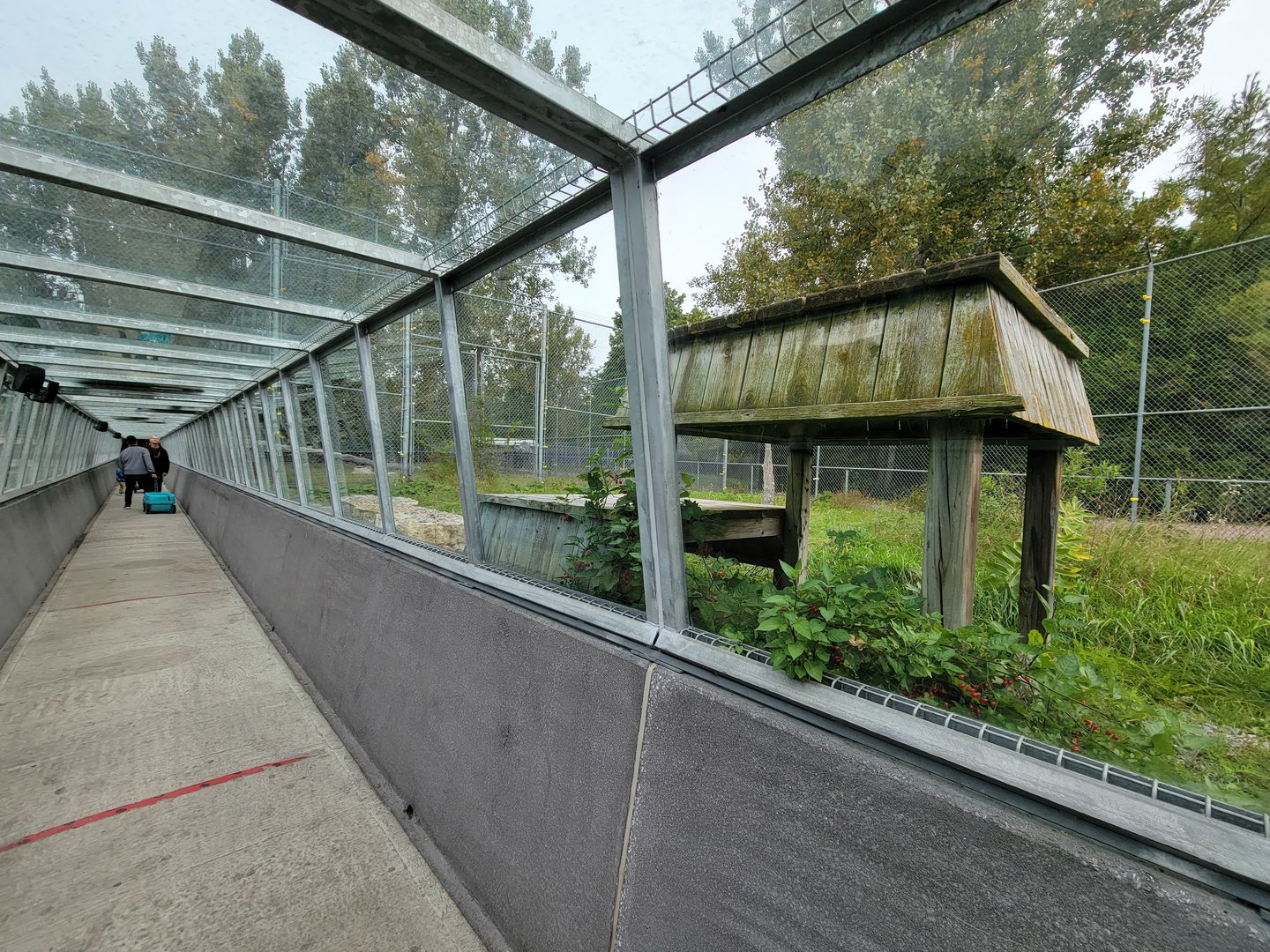 Parc Safari - Tunnel #2, lion exhibit #1