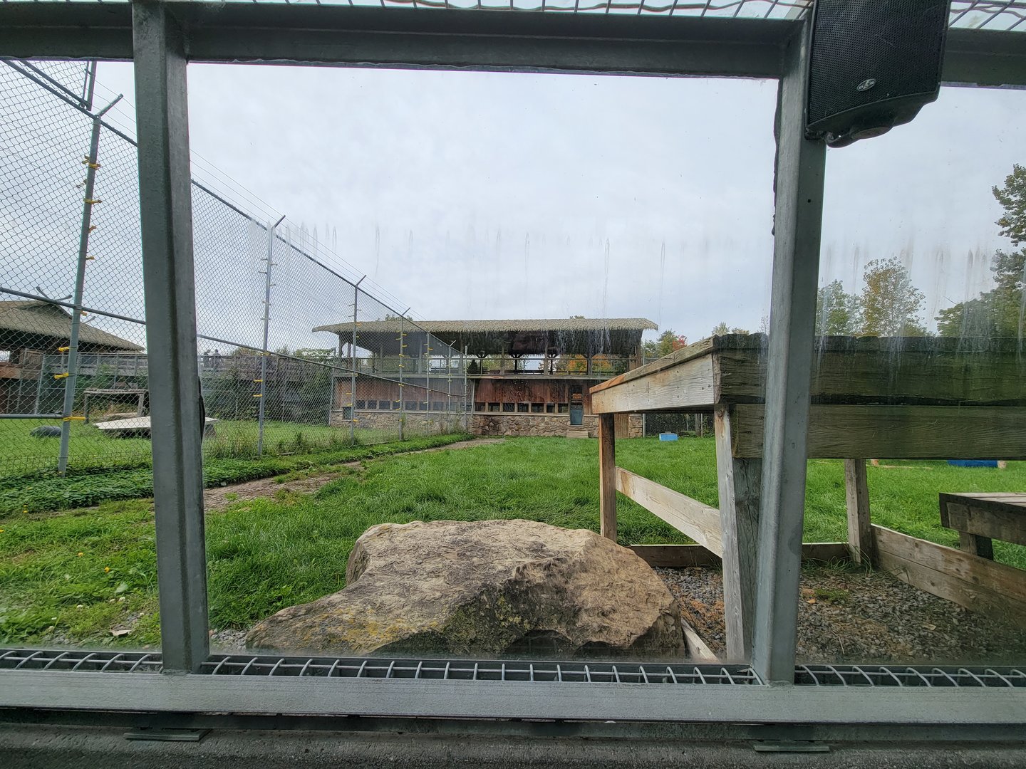 Parc Safari - Tunnel #2, lion yard #2