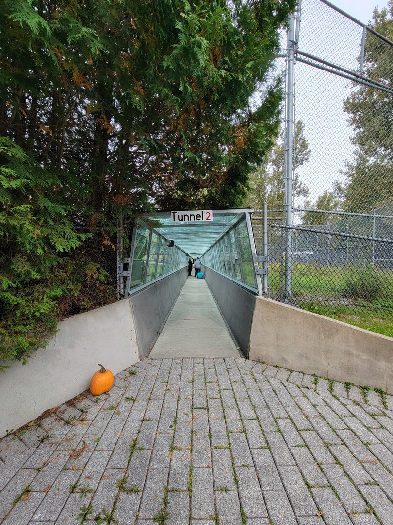 Parc Safari - Tunnel #2 through two lion exhibits, straight