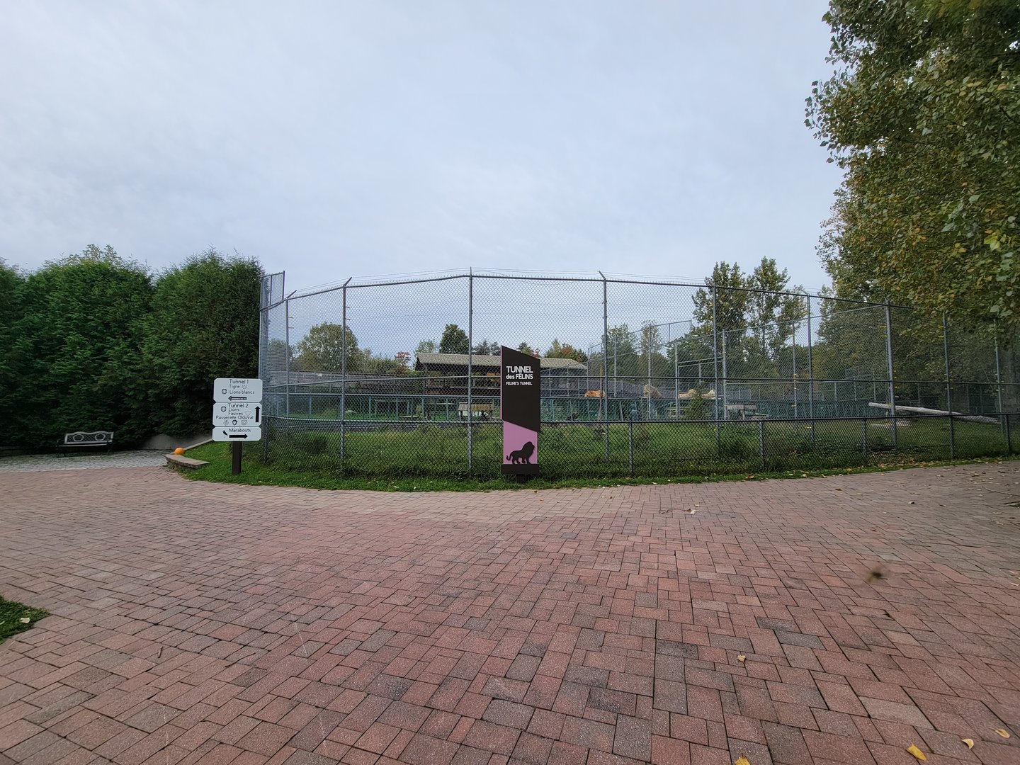 Parc Safari - Tunnel des Felins area