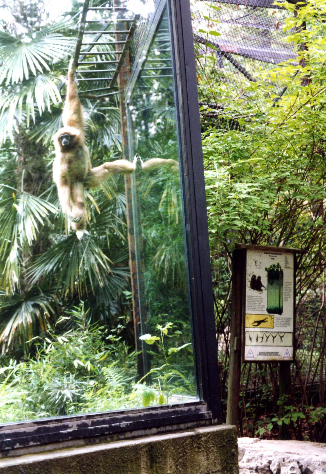 Parco faunistico La Torbiera, Agrate Conturbia, 2000