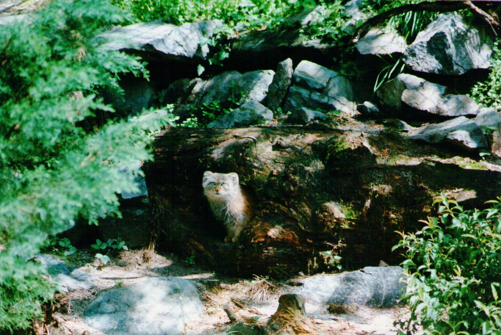 Parco faunistico La Torbiera, Agrate Conturbia, 2000