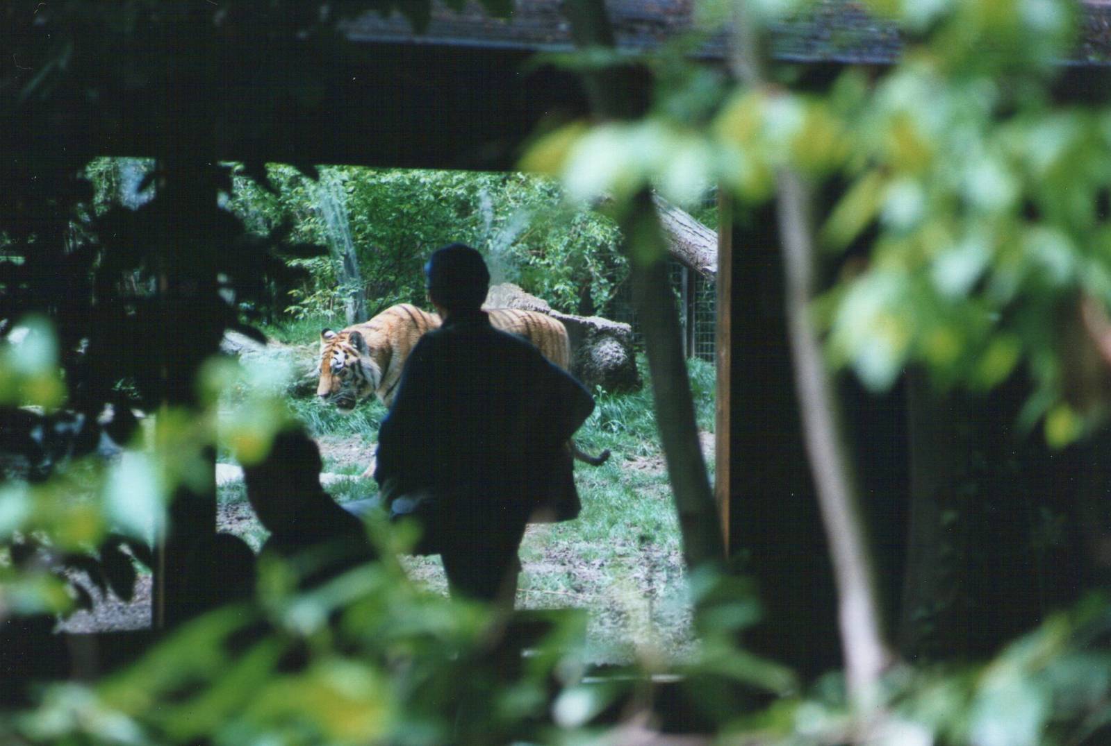 Parco Faunistico La Torbiera, Agrate Conturbia, 2000