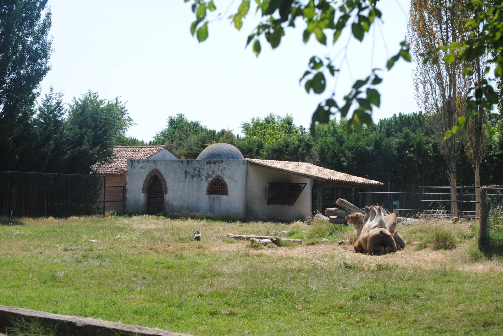 Parco Faunistico Valcorba - Padova