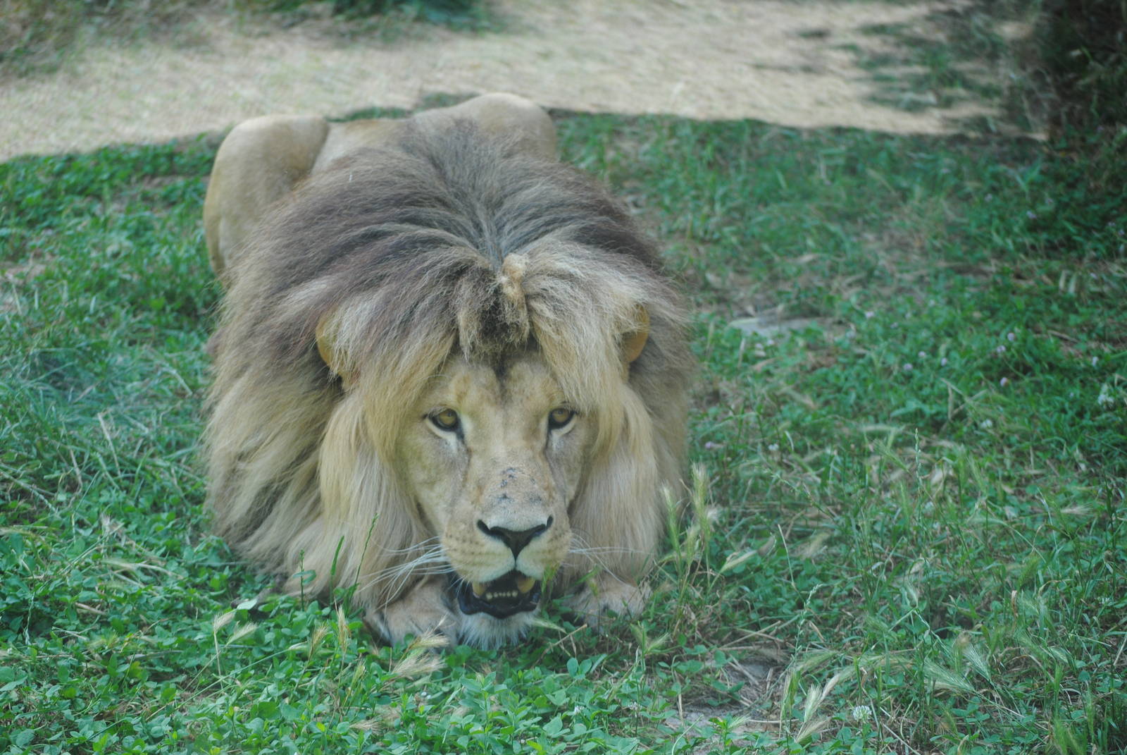 Parco Faunistico Valcorba - Padova