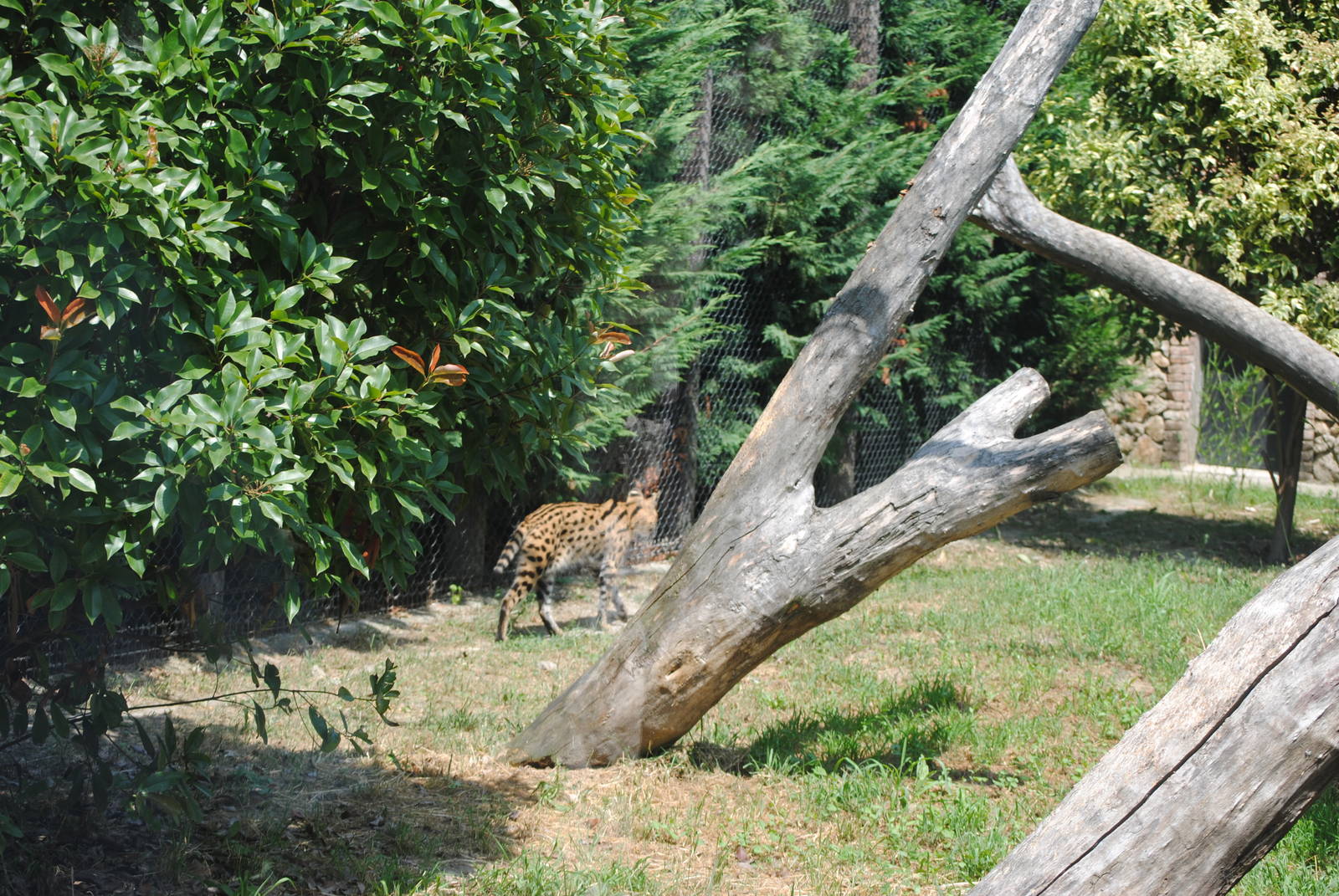 Parco Faunistico Valcorba - Padova
