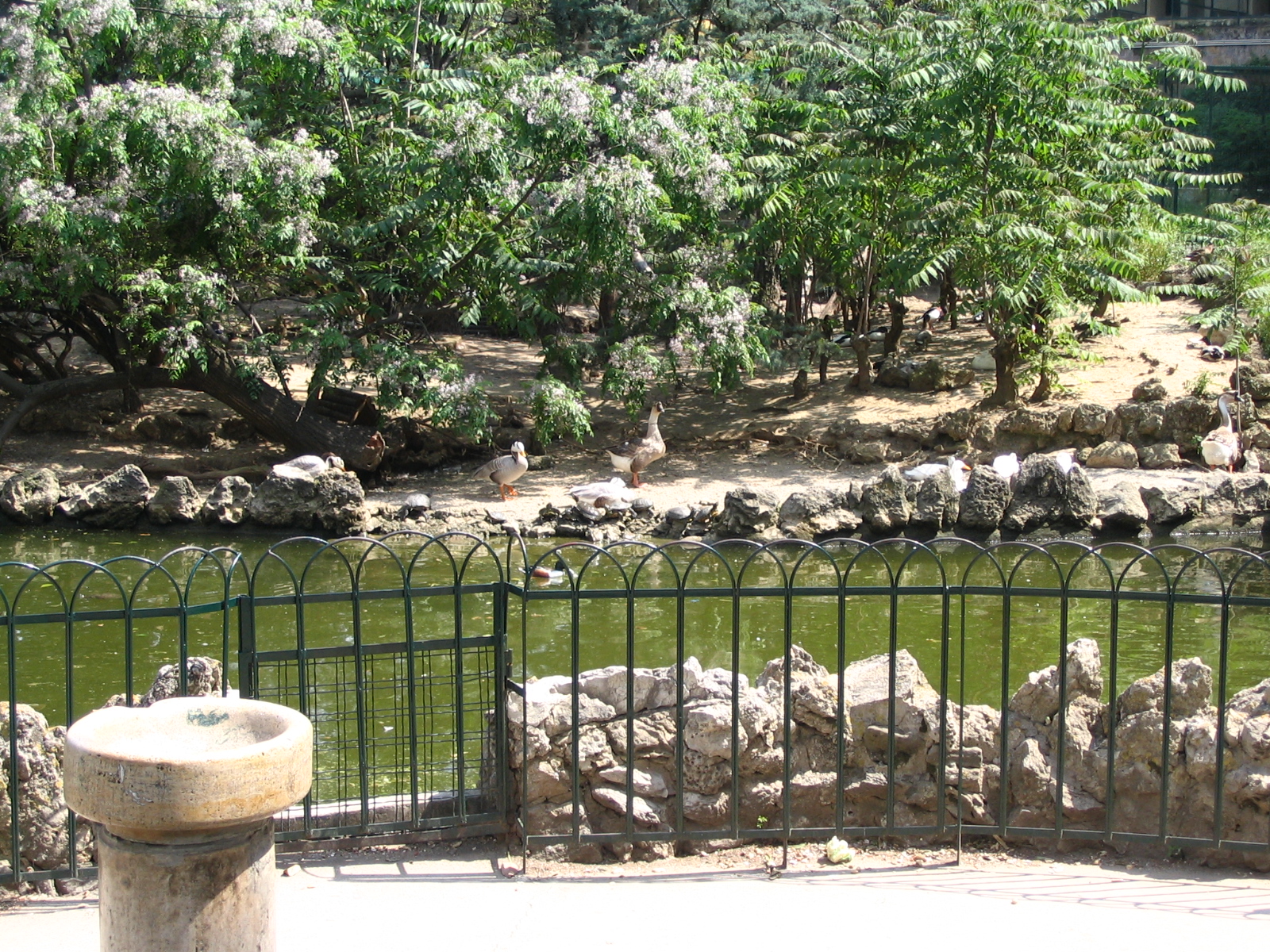 Parco Ornitologico Villa d'Orleans, Palermo