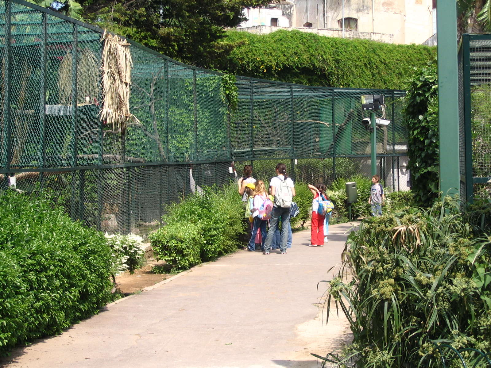 Parco Ornitologico Villa d'Orleans, Palermo