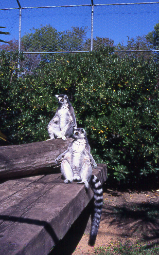 Parco Punta Verde, Lignano, 2006