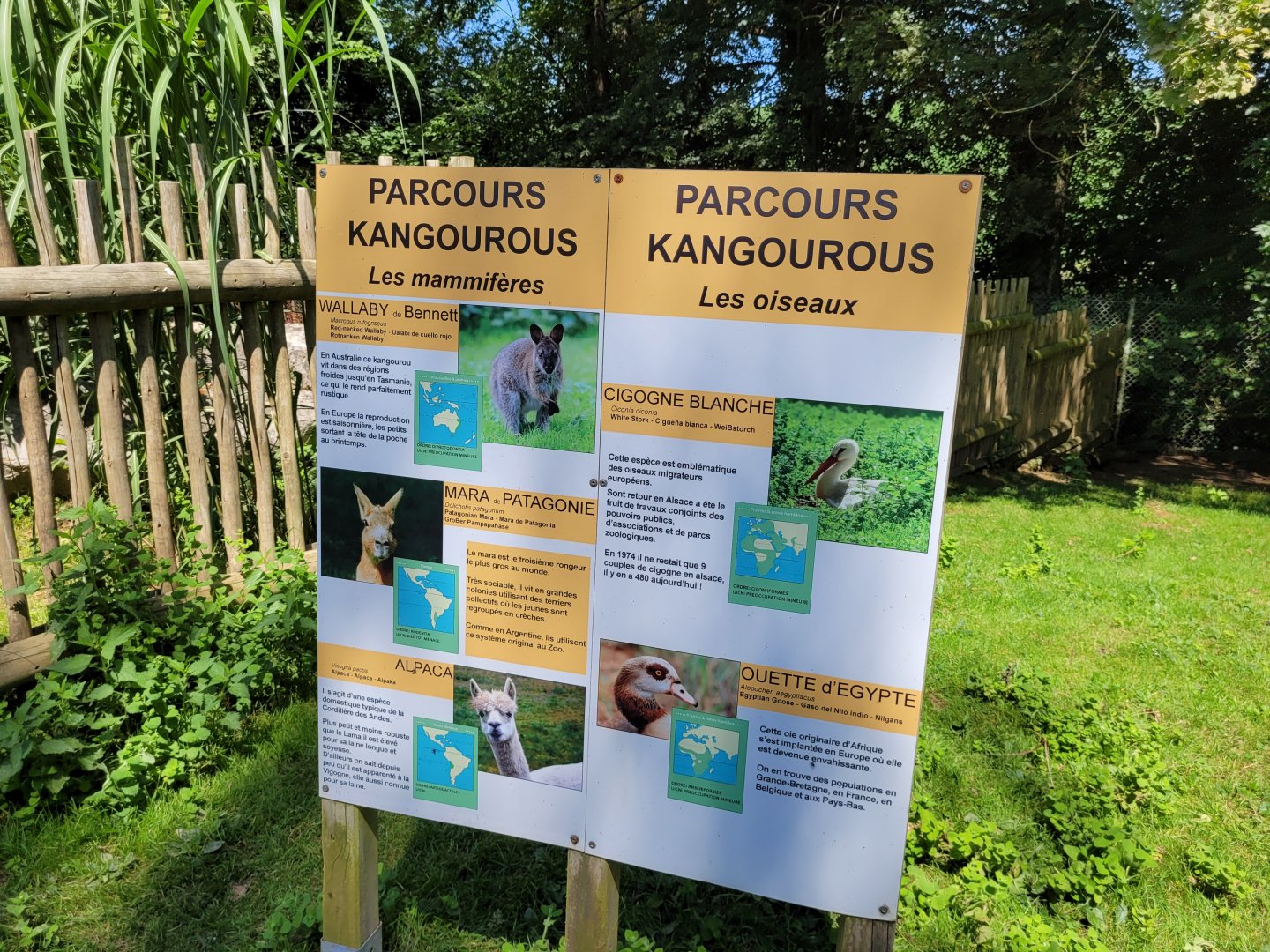 "Parcours kangorous" sign -Zoo d'Asson (2022)
