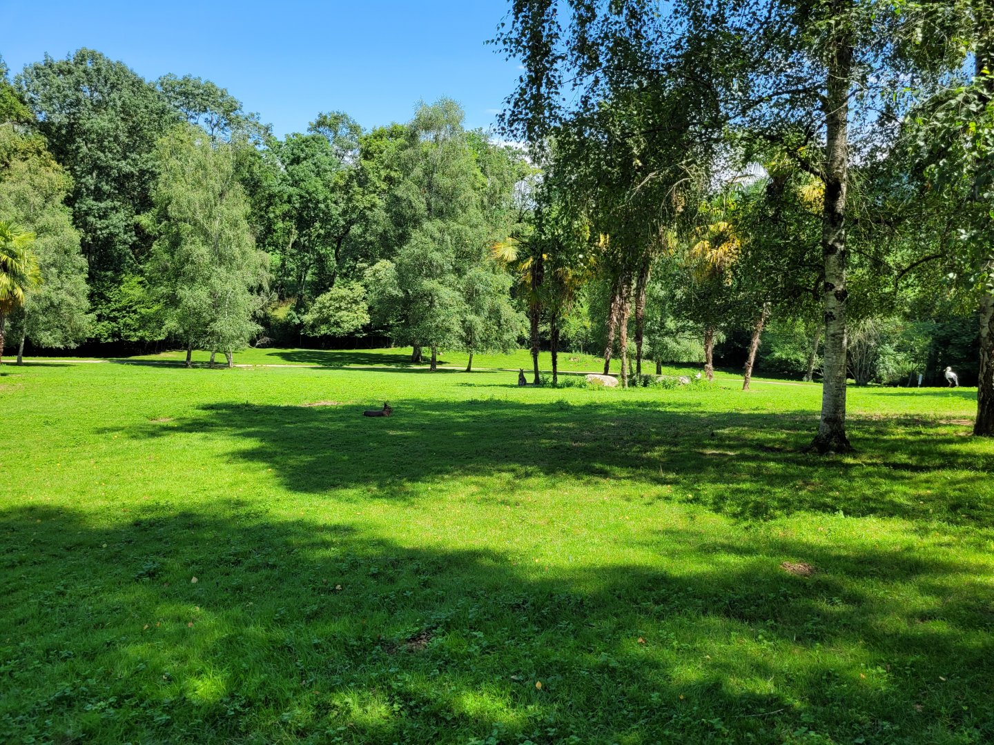 "Parcours kangorous" walkthrough exhibit -Zoo d'Asson (2022)