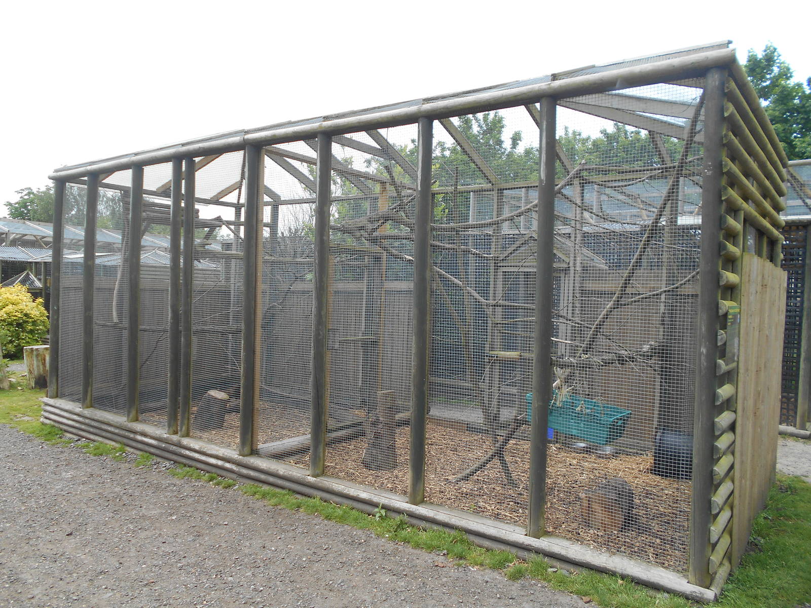 Pardine Genet enclosure - 10/06/2016