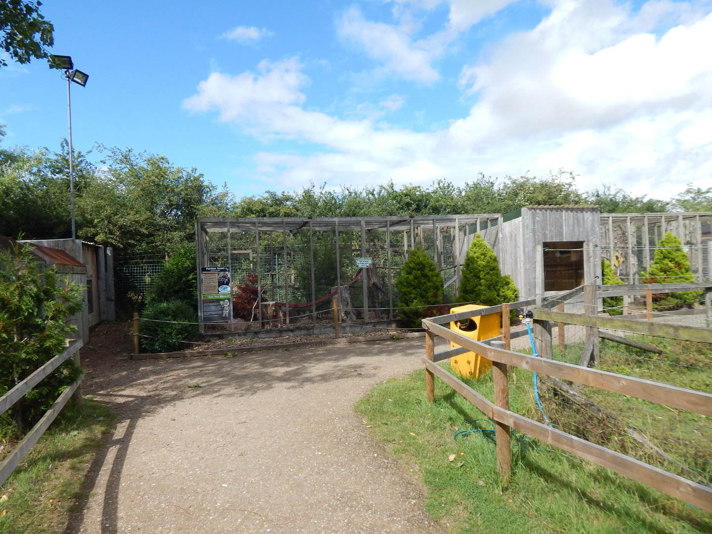 Pardine genet enclosure 150723