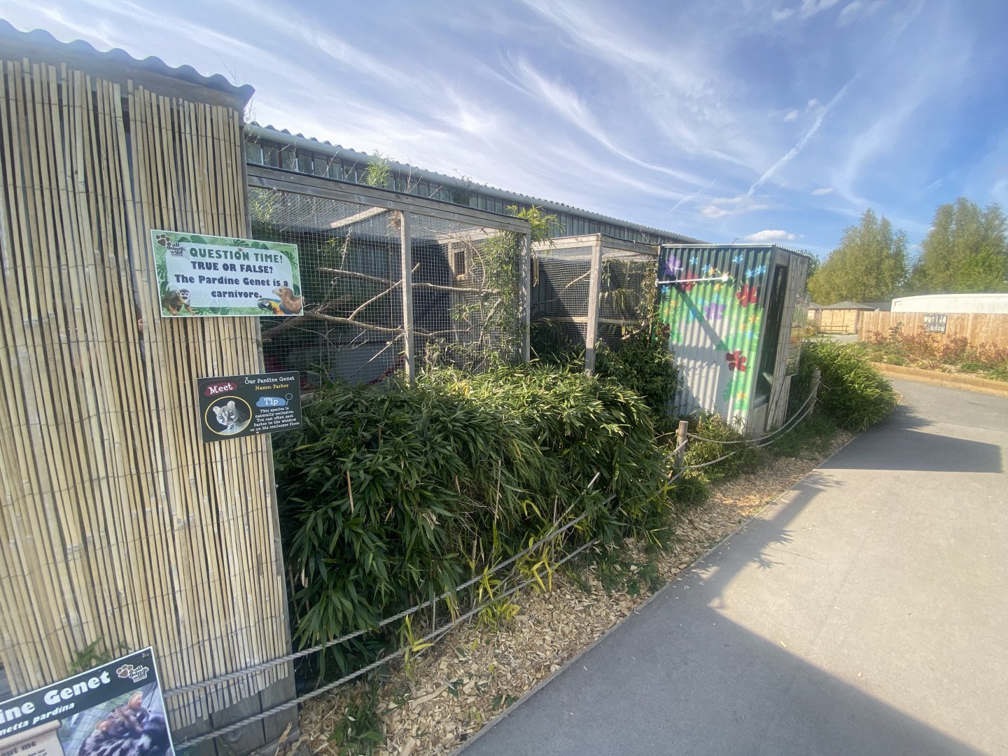 Pardine genet exhibit 280425