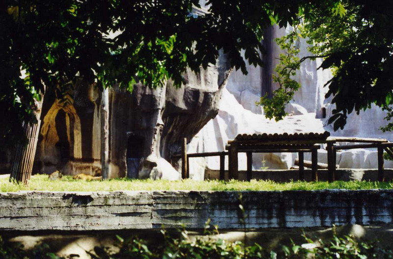 Paris 2000 - Lion enclosure