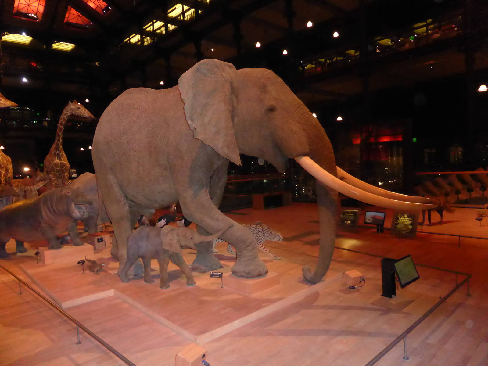 Paris - Grand Gallery of Evolution , Jardin des Plantes