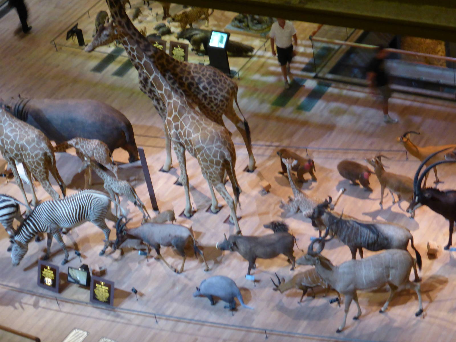 Paris , Grand Gallery of Evolution , Jardin des Plantes