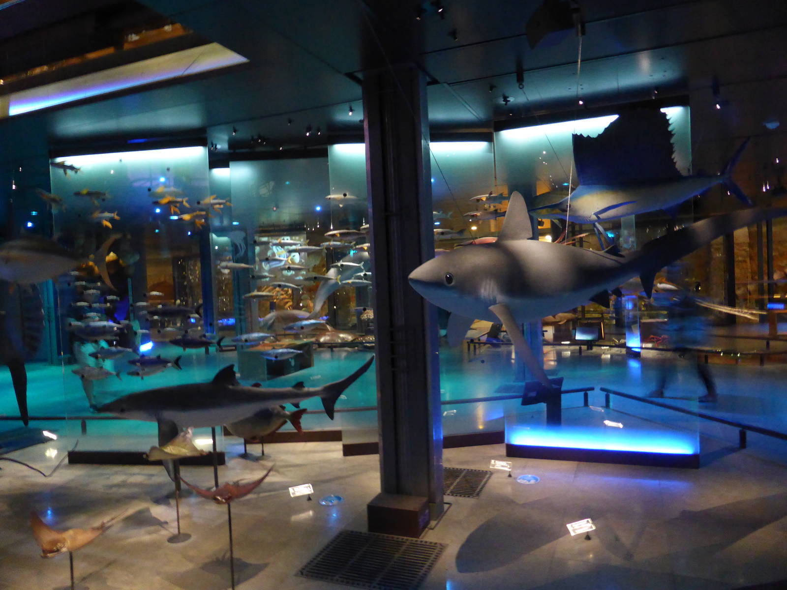 Paris , Grand Gallery of Evolution , Jardin des Plantes