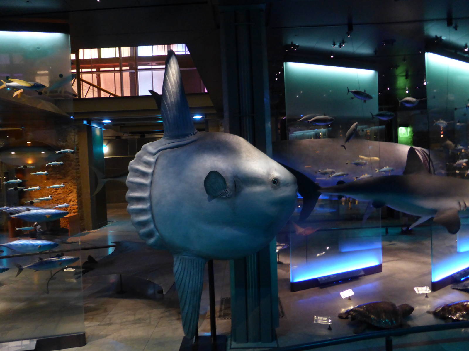 Paris , Grand Gallery of Evolution , Jardin des Plantes