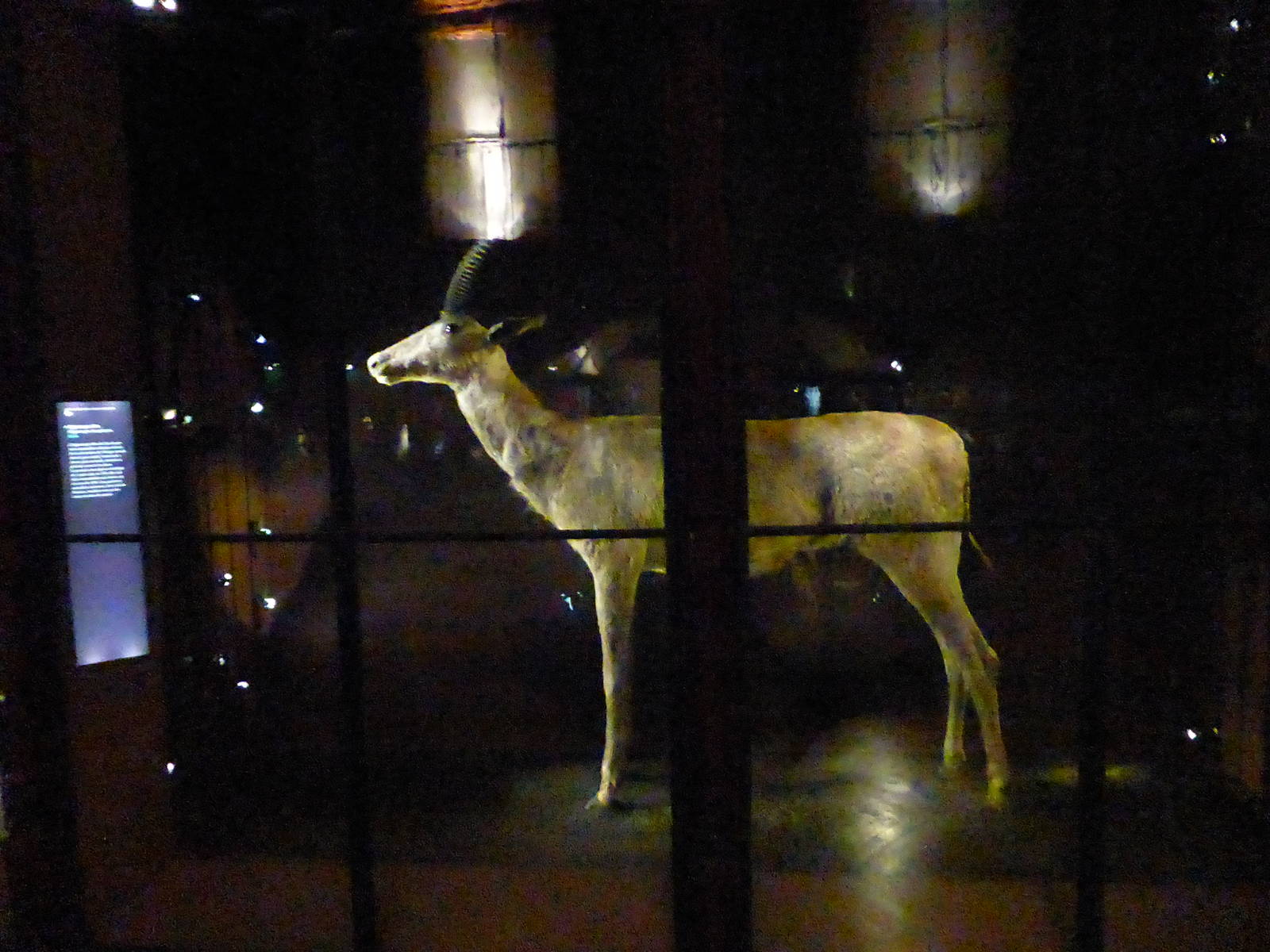 Paris , Grand Gallery of Evolution , Jardin des Plantes
