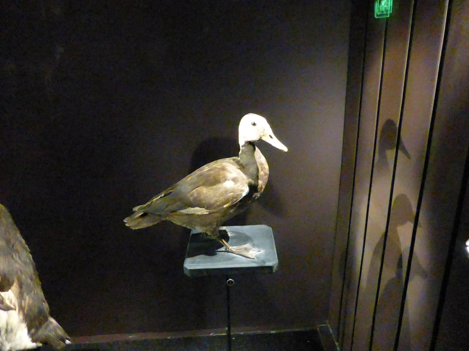 Paris , Grand Gallery of Evolution , Jardin des Plantes