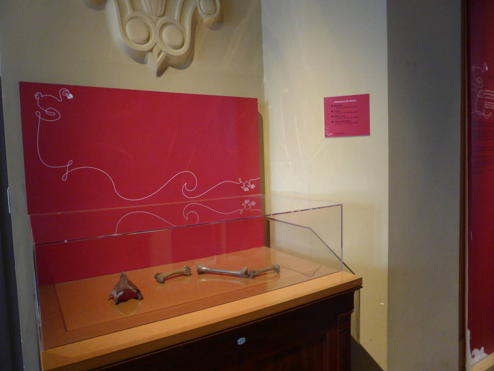 Paris , Grand Gallery of Evolution , Jardin des Plantes