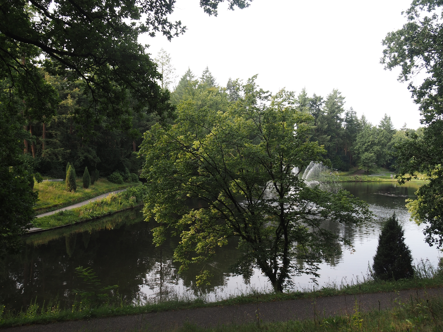 Park Berg & Bos (City and nature park in which Apenheul is located) - Forest pond, 2024-08-18