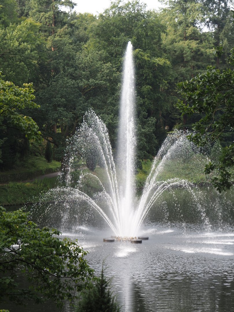 Park Berg & Bos (City and nature park in which Apenheul is located) - Large fountain in forest pond, 2024-08-18