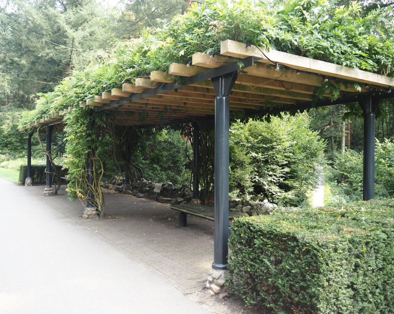 Park Berg & Bos (City and nature park in which Apenheul is located) - Sitting area with vines, 2024-08-18