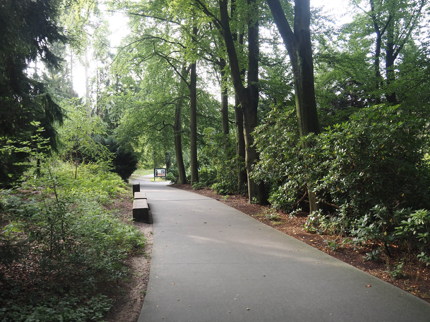 Park Berg & Bos (City and nature park in which Apenheul is located) - Walkway to Apenheul, 2024-08-18