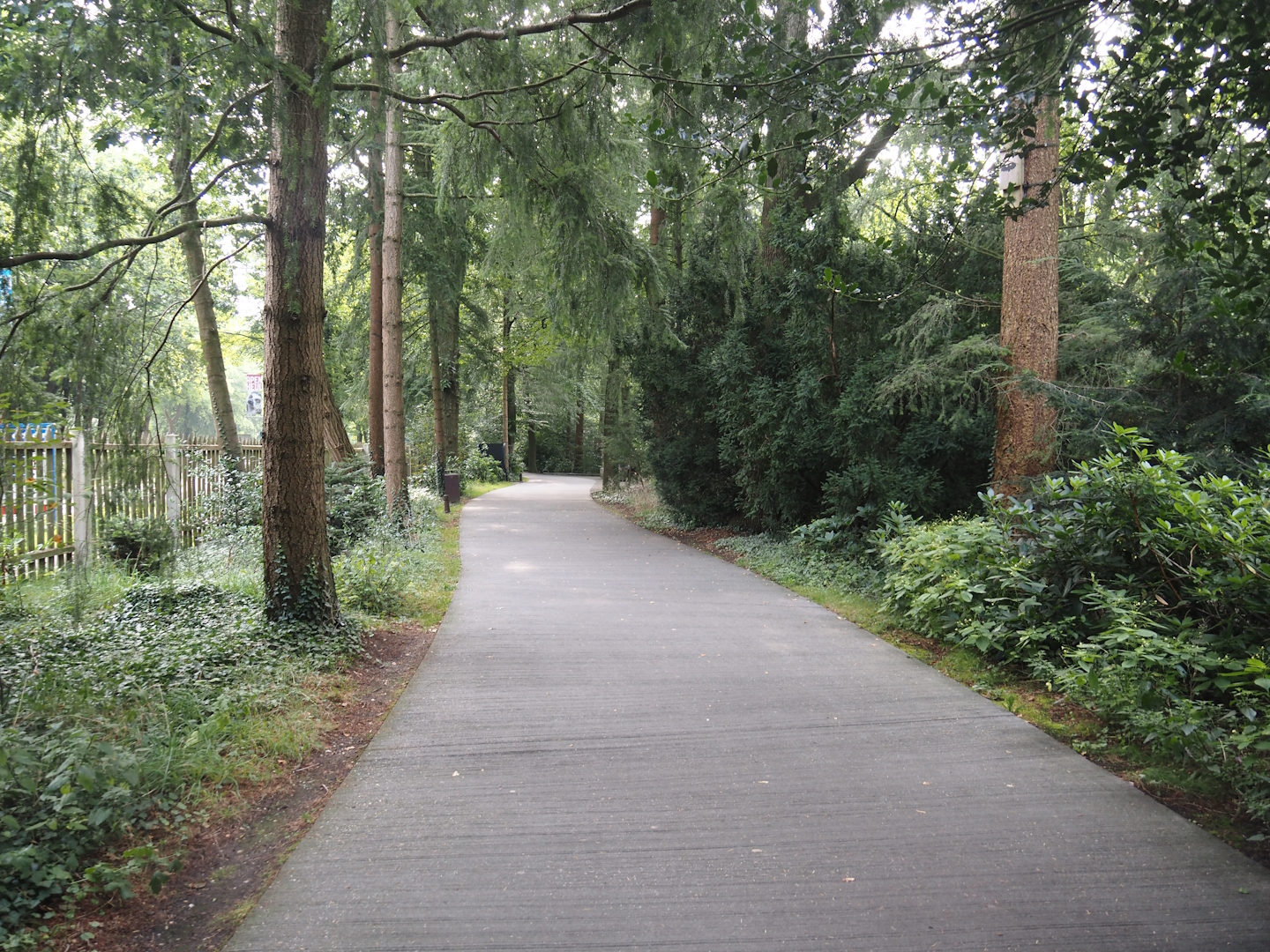 Park Berg & Bos (City and nature park in which Apenheul is located) - Walkway to the entrance of Apenheul, 2024-08-18