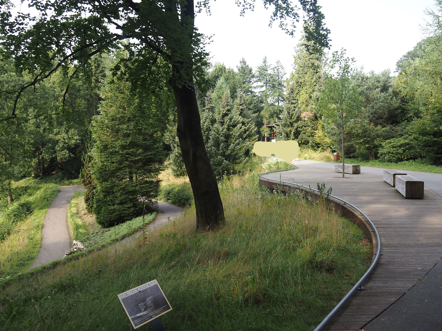 Park Berg & Bos (City and nature park in which Apenheul is located) - Walkways, 2024-08-18