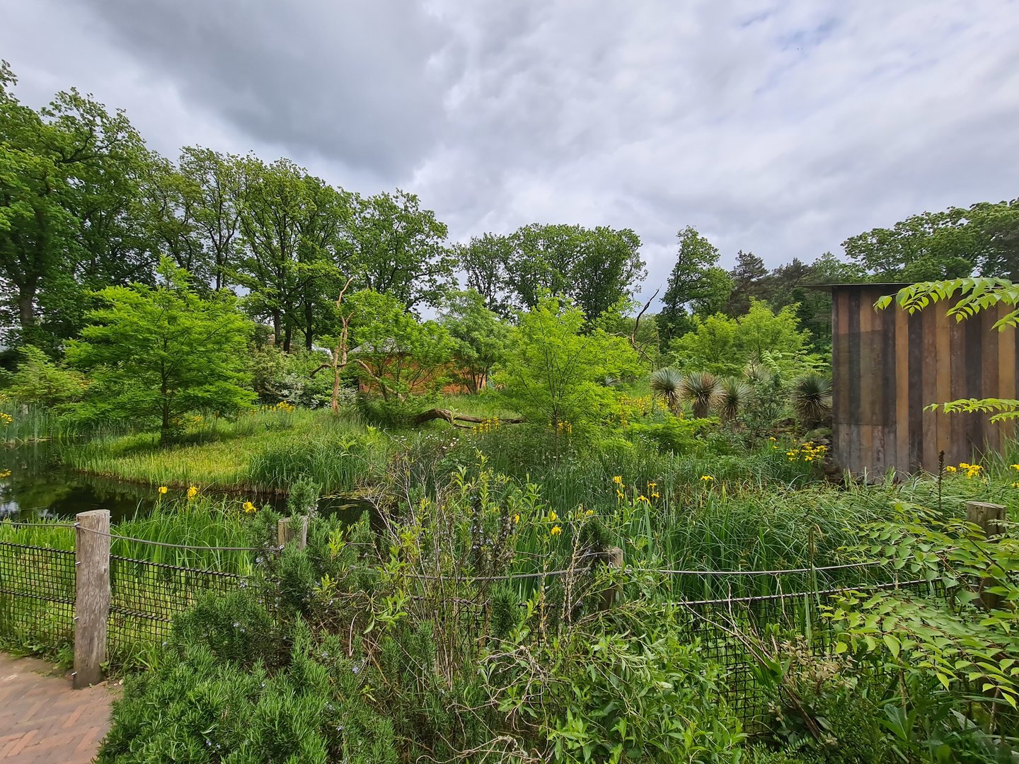 Park - Black and Ring-tailed lemur island