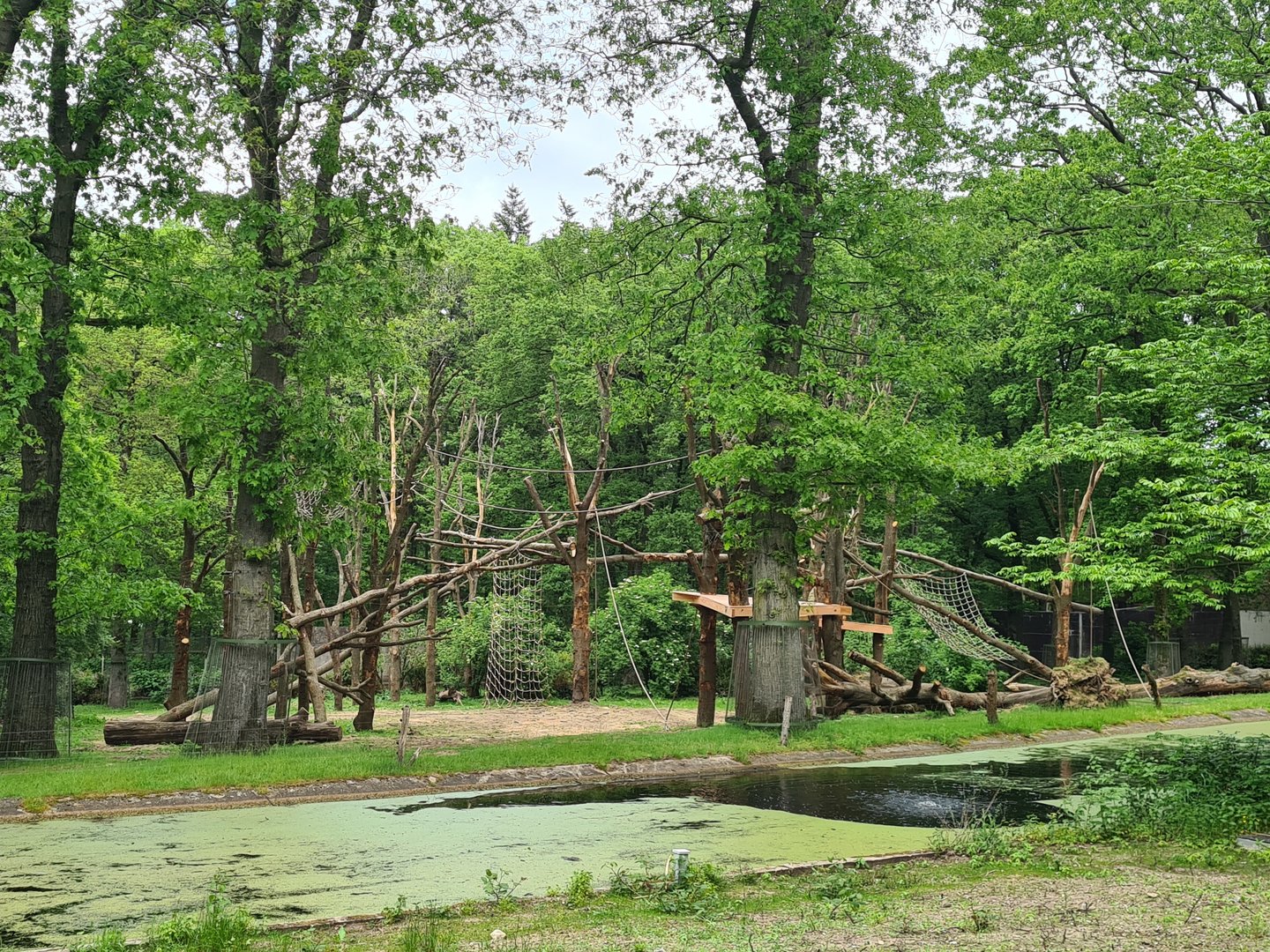 Park - Chimpanzee enclosure