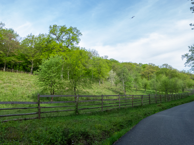 park / enclosure of European bison