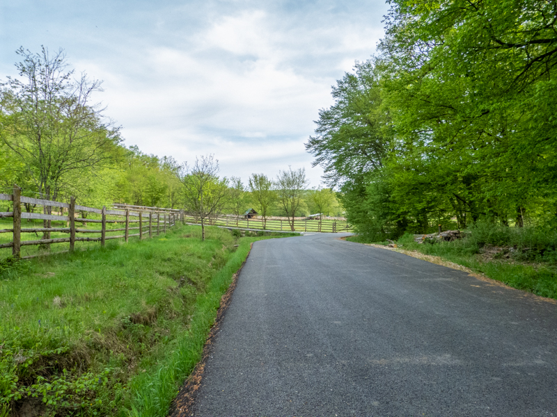 park / enclosure of European bison