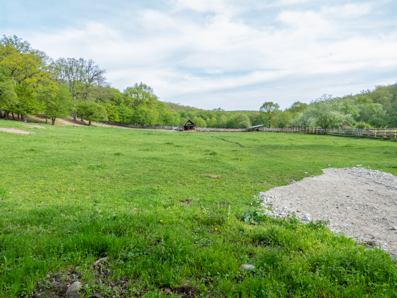 park / enclosure of European bison