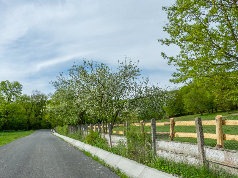 park / enclosure of European bison