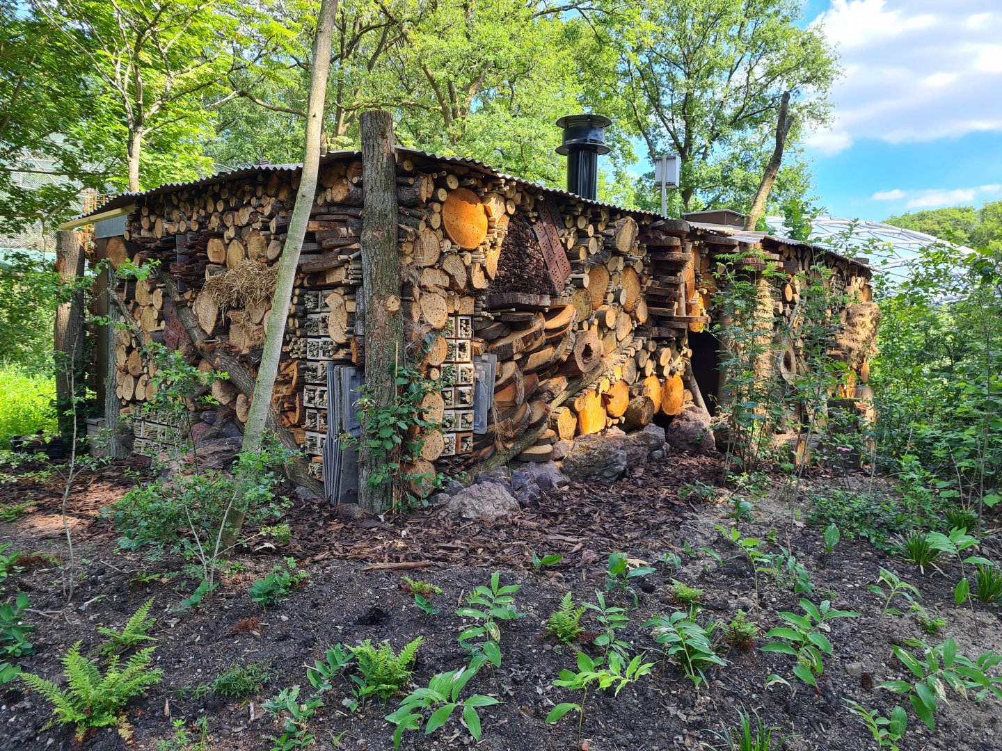 Park - New giant insect hotel
