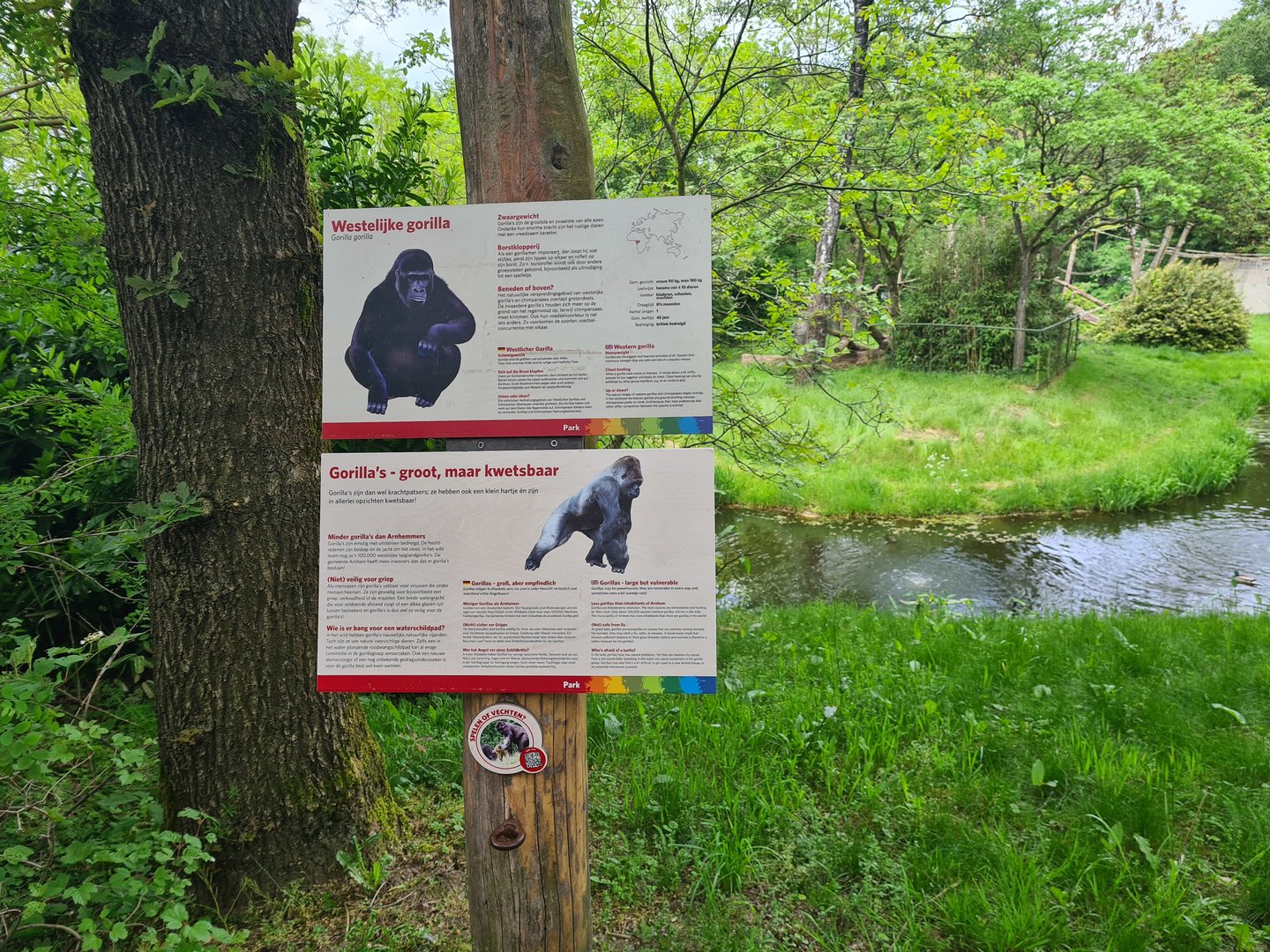 Park - New gorilla signage
