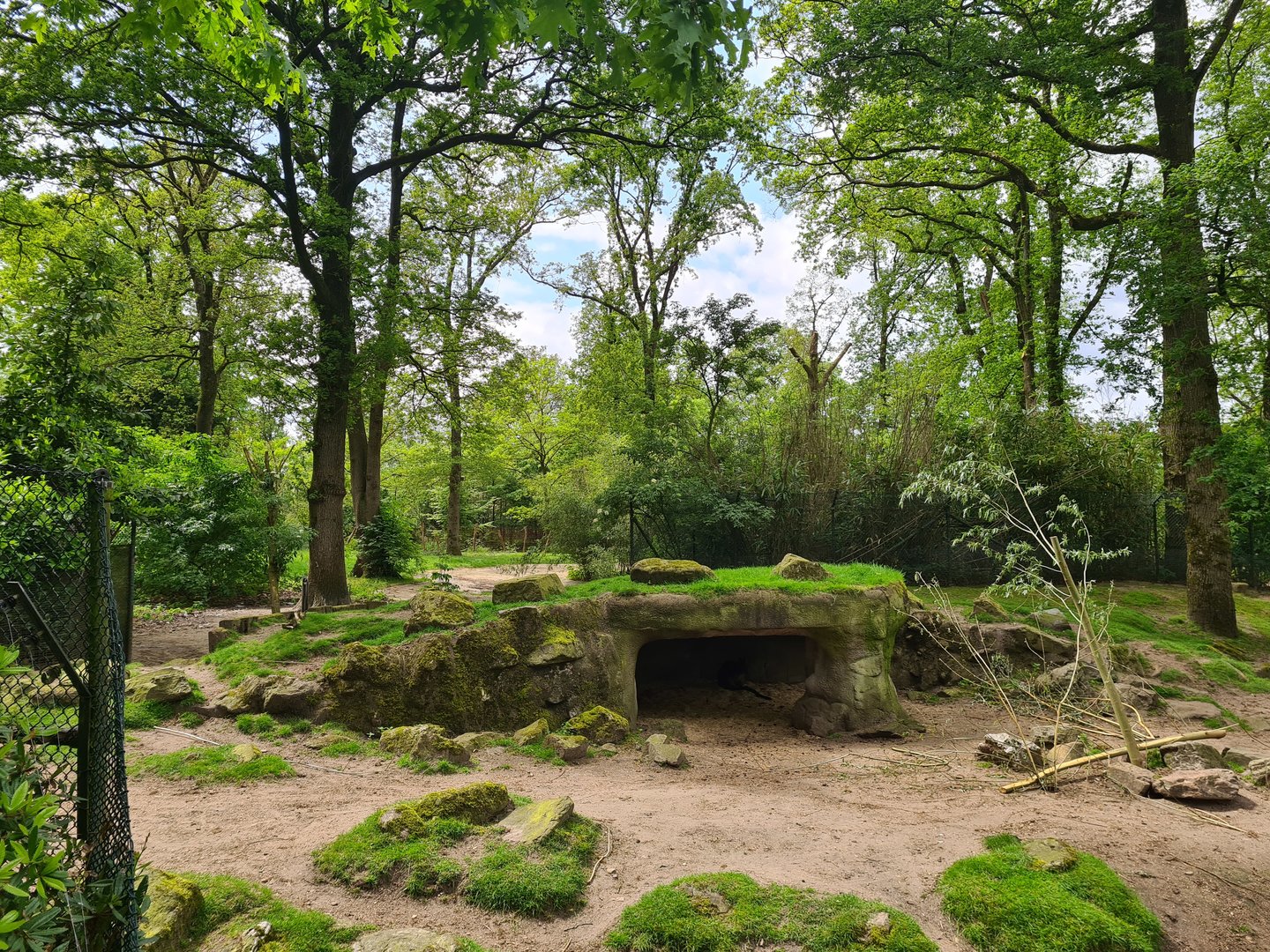 Park - "New" Swamp wallaby enclosure