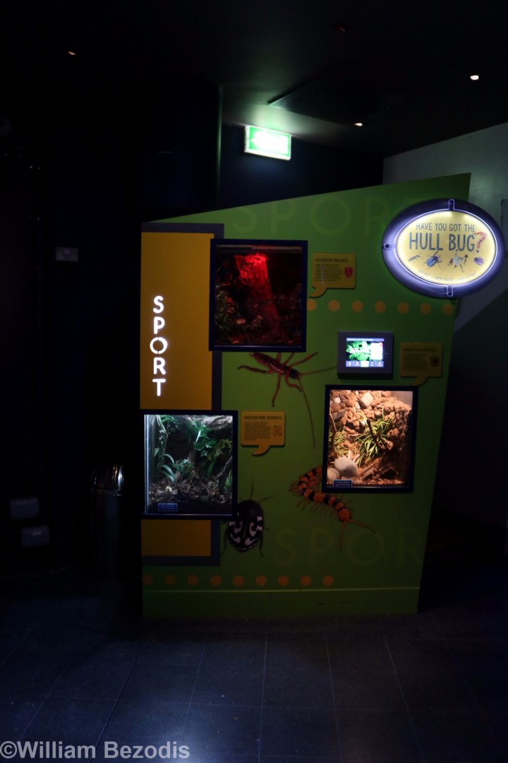 Park of the 'Hull Bug' Display