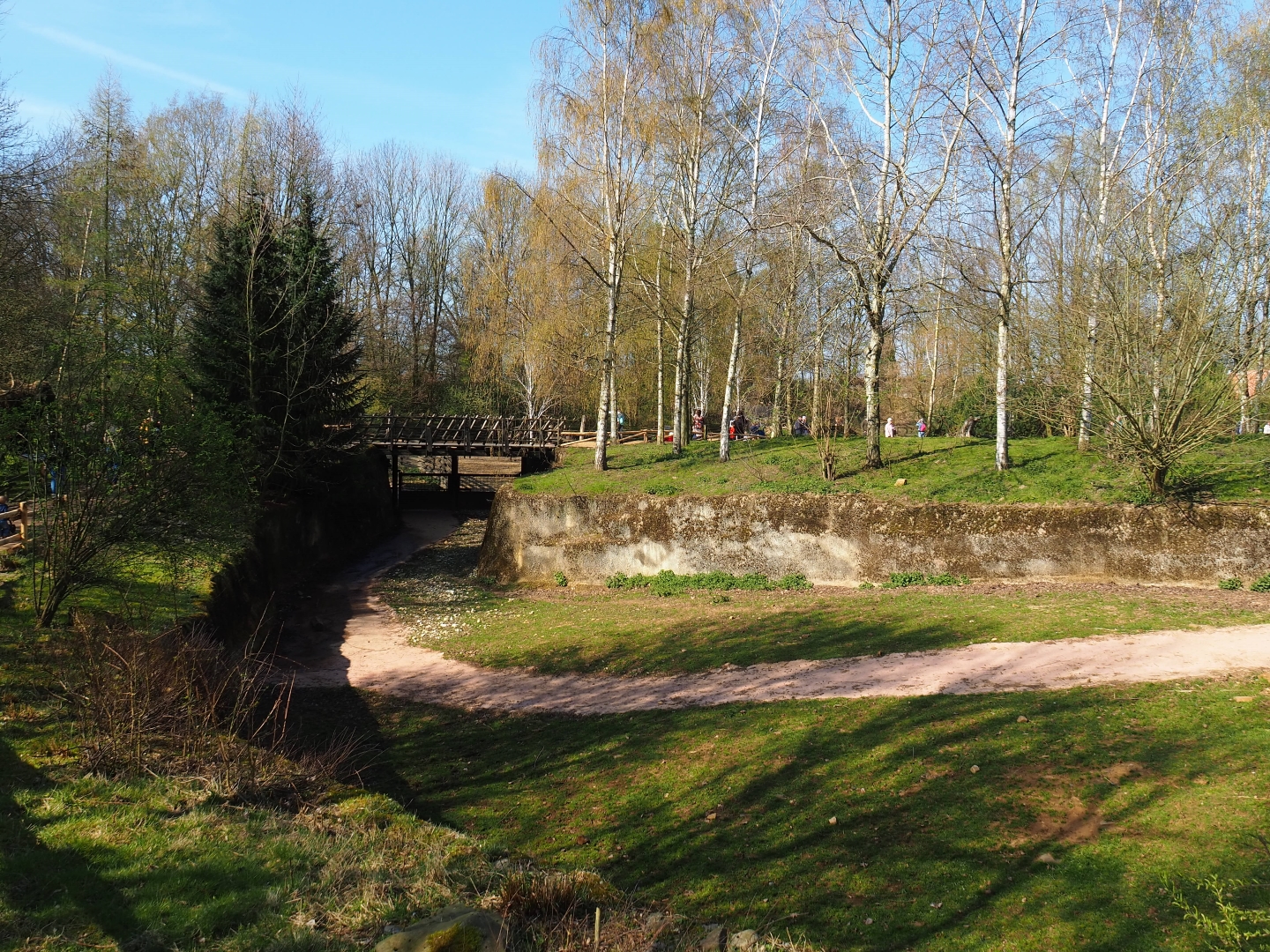 Park of the musk ox exhibit, 2019-03-30